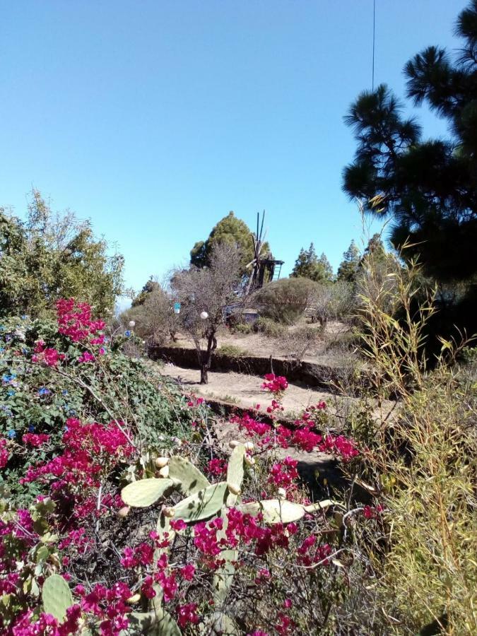 Casa Las Tres Palmeras Сasa de vacaciones Puntagorda