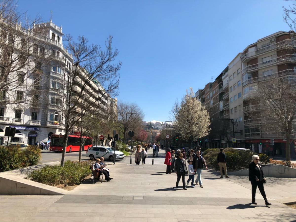 Constitución Confort D