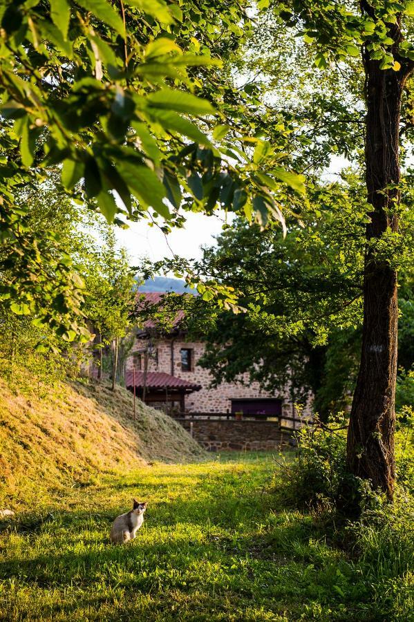 Gorosarri Apartment