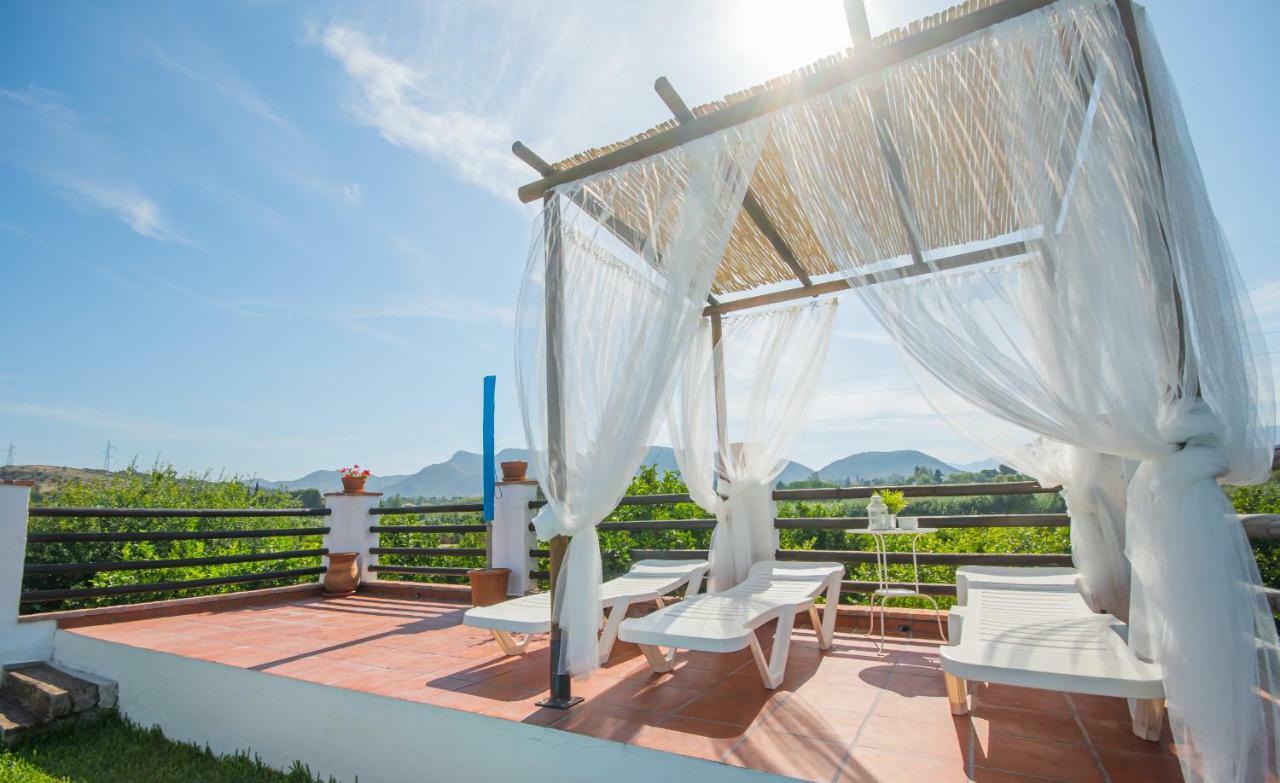 Cubo's Finca Miguel Bolano *