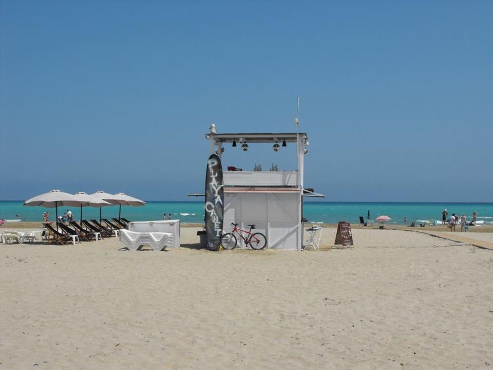 La Tramontana *