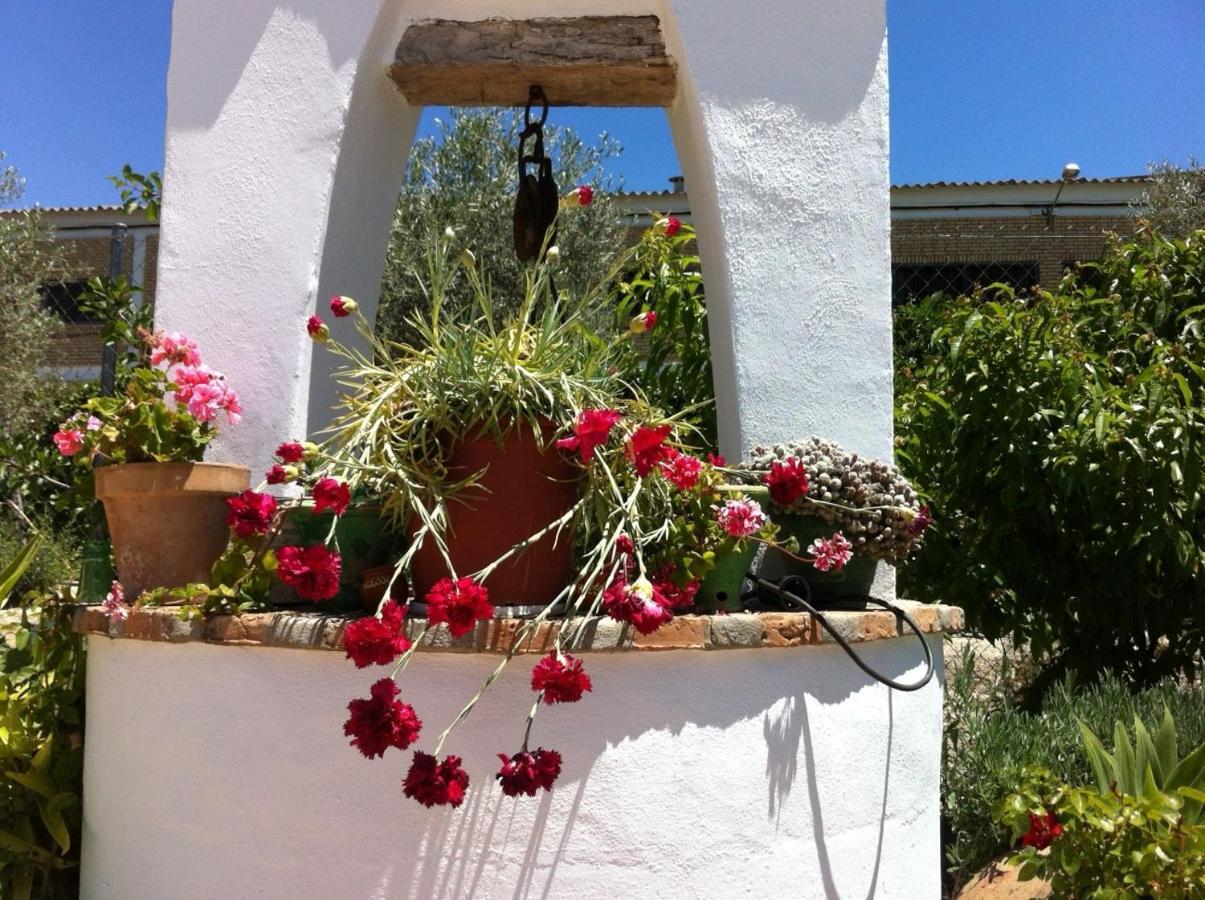 Hotel El Molino Osuna
