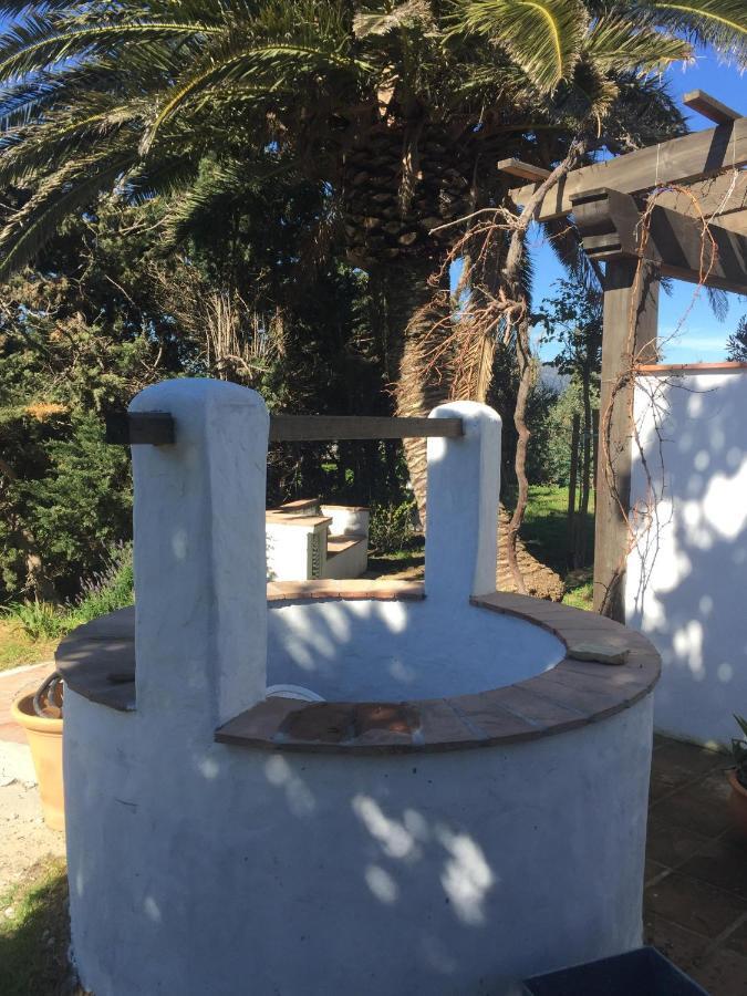 Inn Spirit Garden