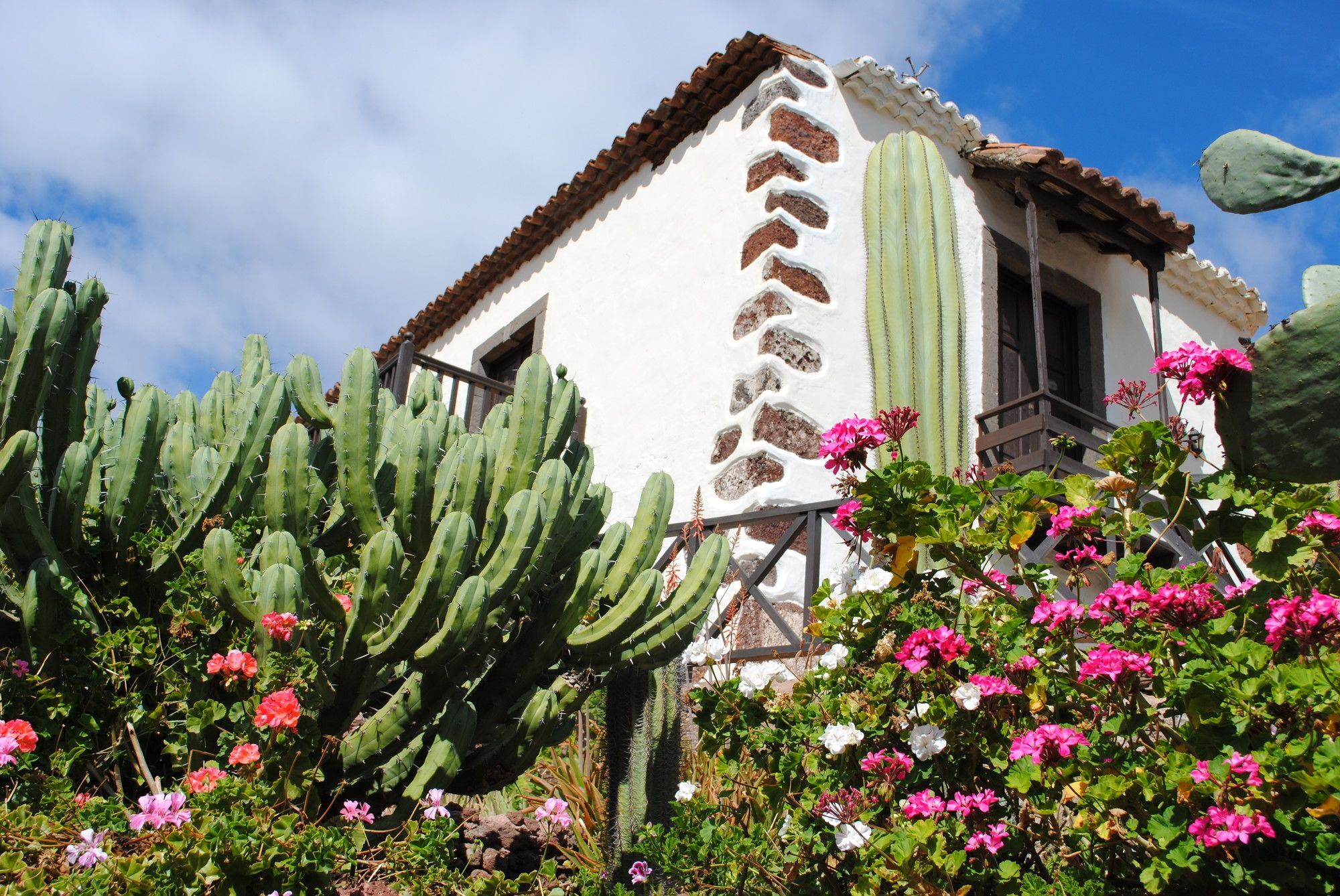 El Olivar - La Molienda Hotel