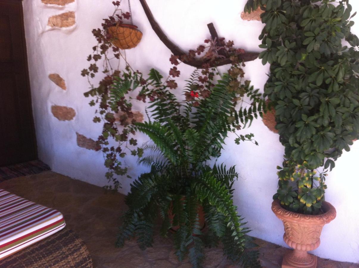 Casa Abuelo Rafael Casa rural