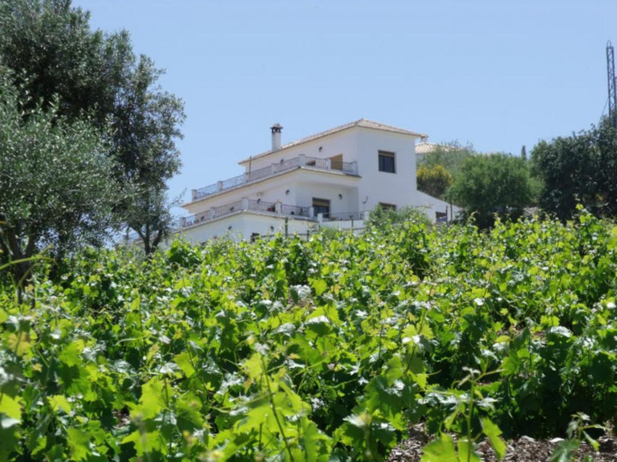 Apartamento Vine Ridge And
