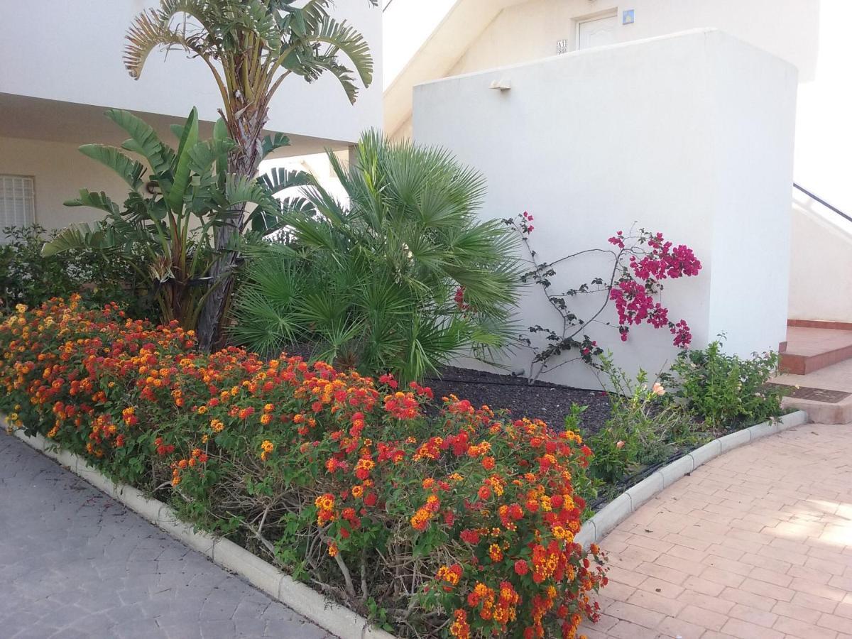 Apartamento Junto Al Mar En La Costa De Almeria