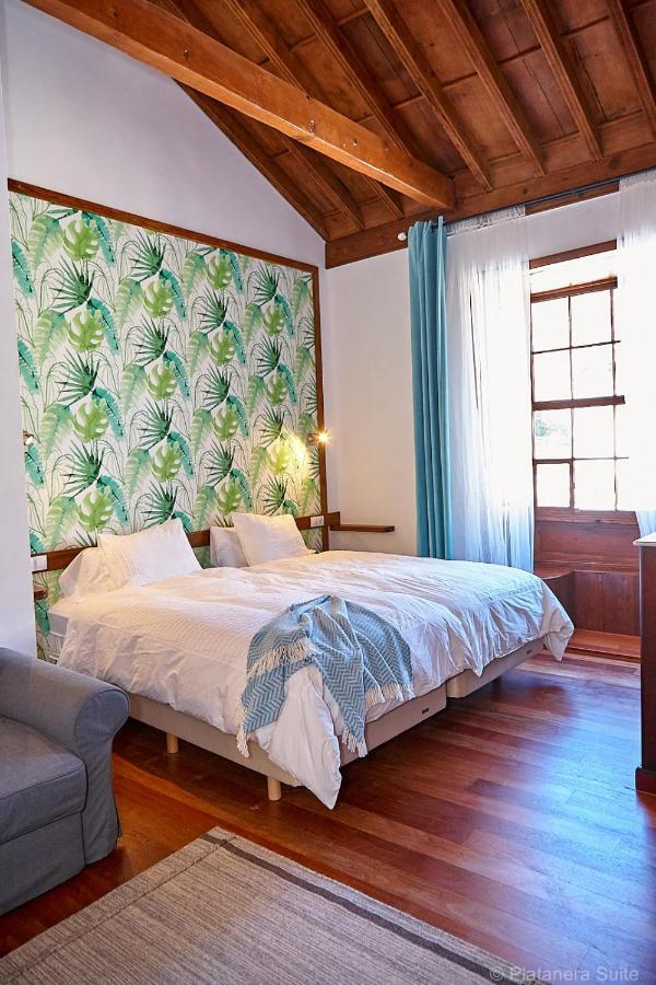 Apartment Platanera
