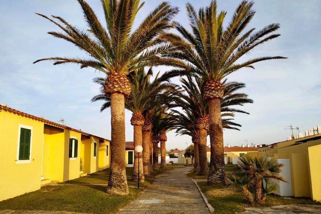 Apartamento 7 Palmeras Ciutadella (Menorca)