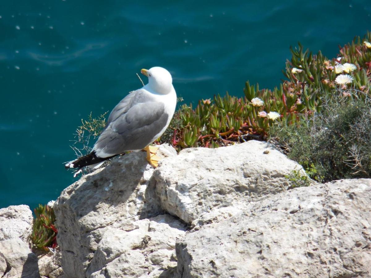 With Direct Access To The Sea Salou