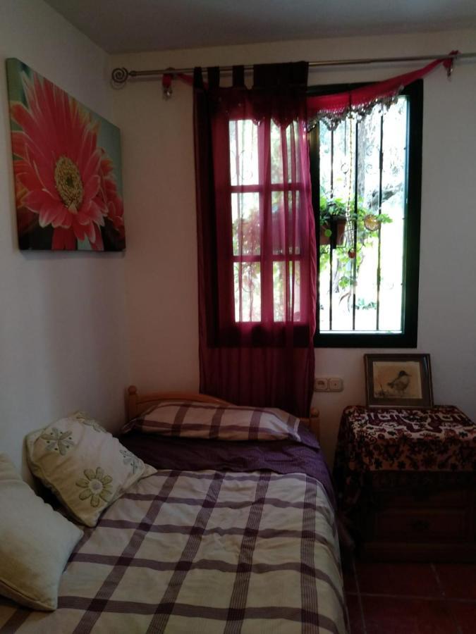El Palacete 2 *