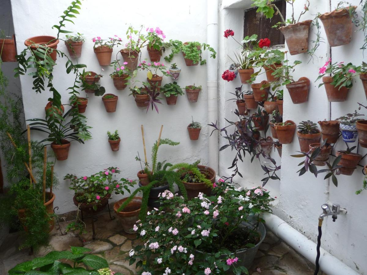 Casa Sol Holiday home Vejer de la Frontera