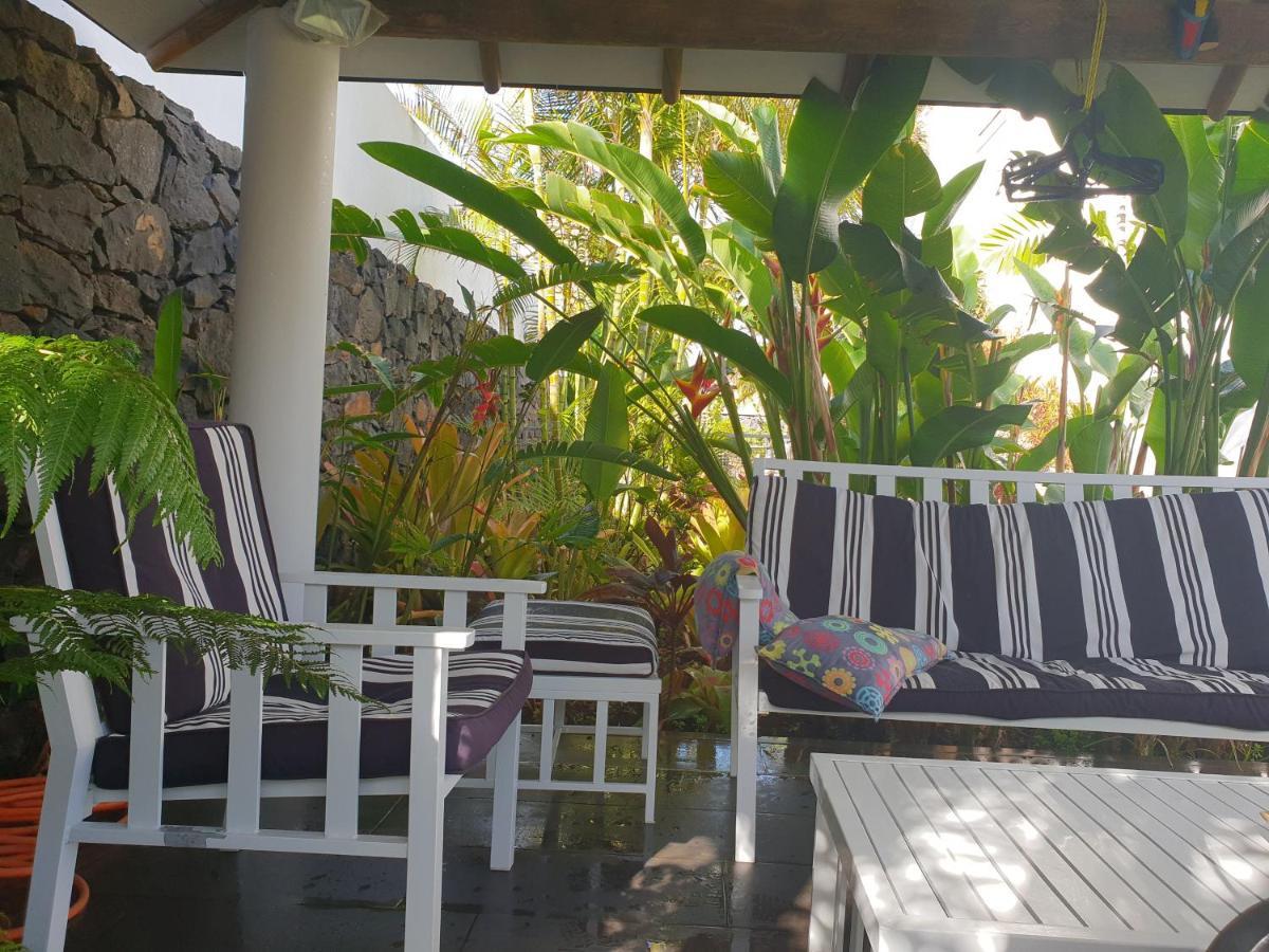 La Selvita Homestay Bajamar (La Laguna)