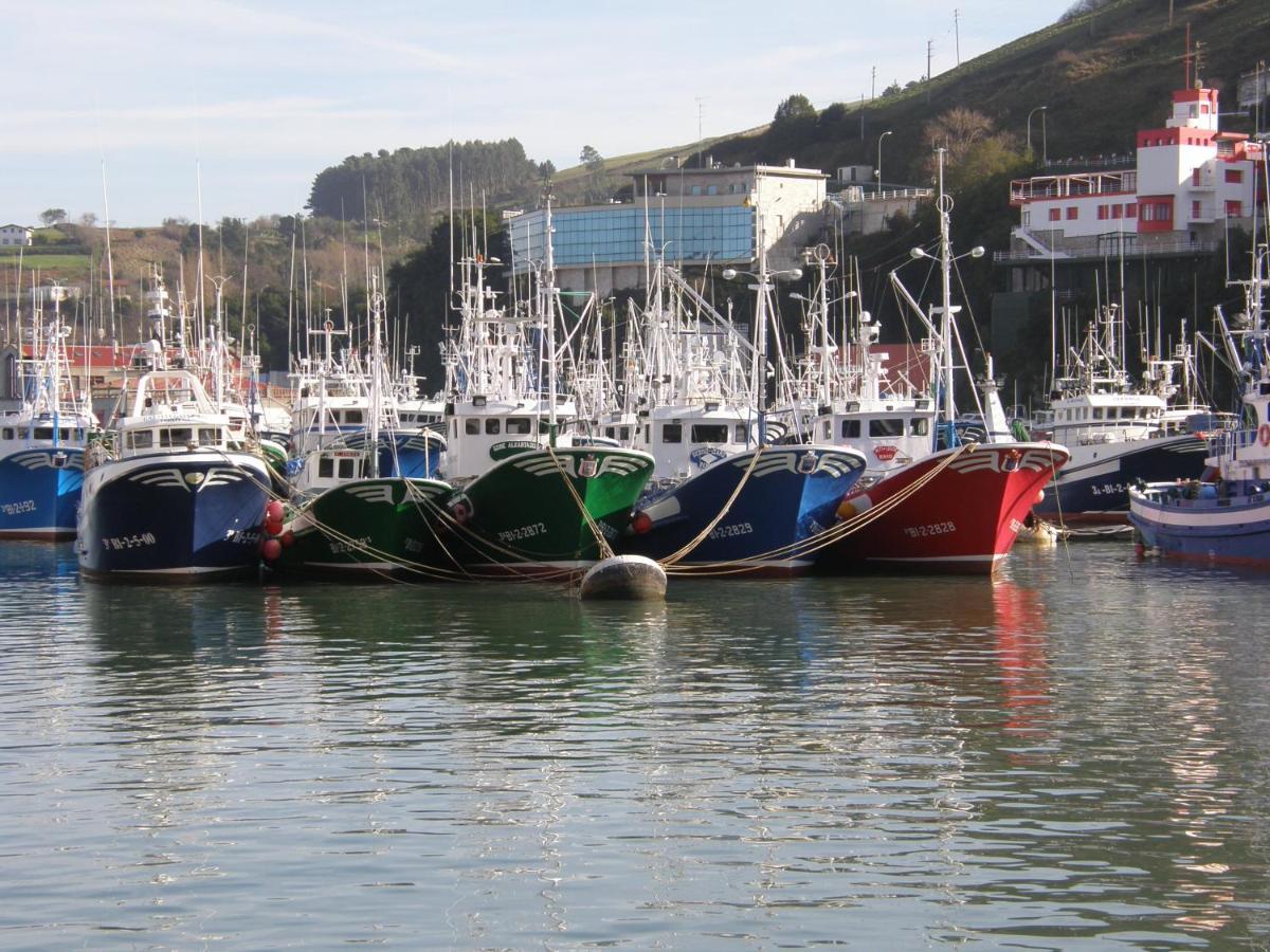 Apartamento Frente Al Ayuntamiento De * Bermeo