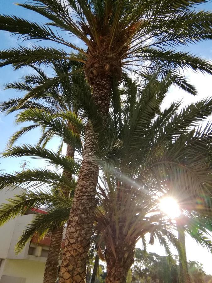 Cozy With Amazing Views To Garden Next To The Ocean Apartamento Costa del Silencio