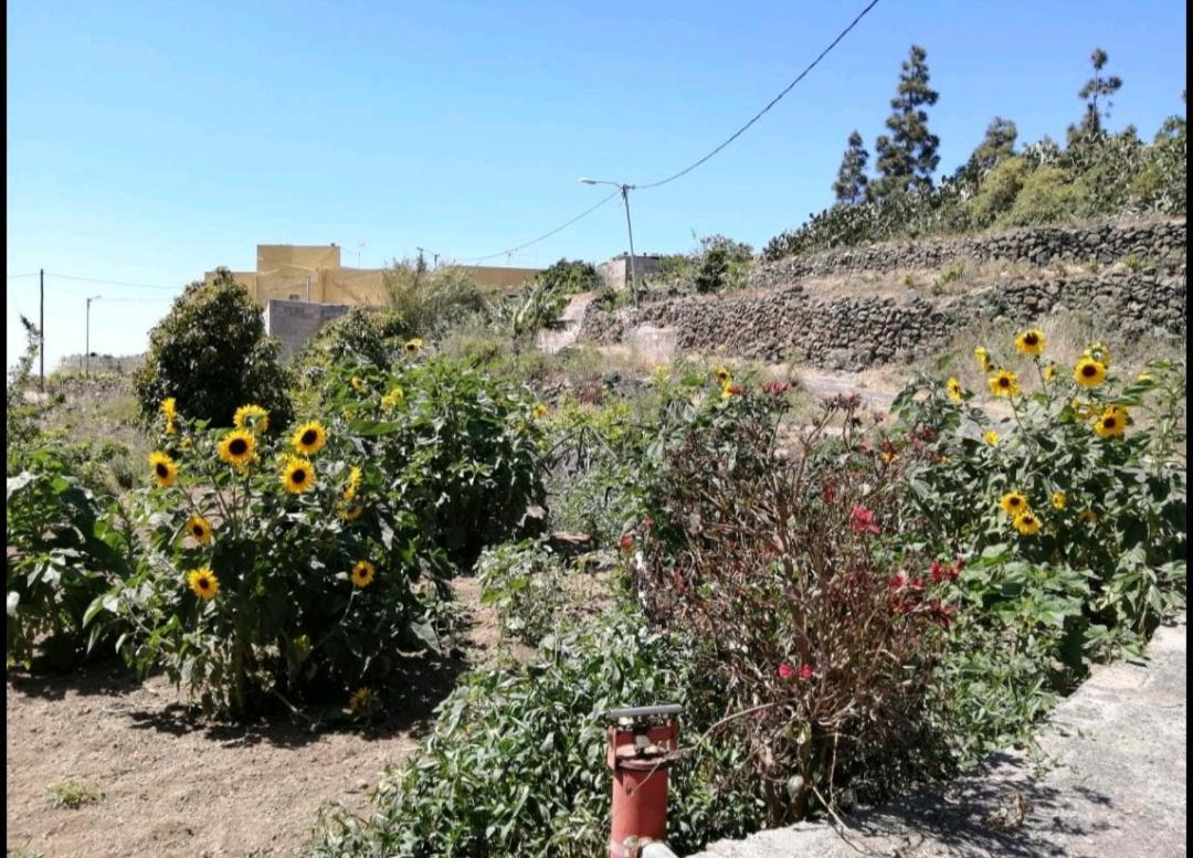 Casa rural Village. Tony Frías.