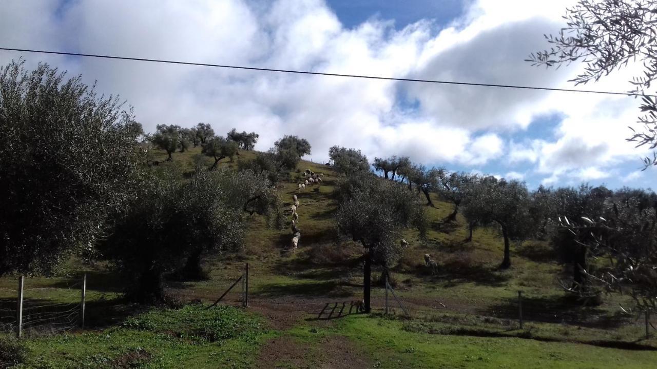 Guest house La Carnicera 3*