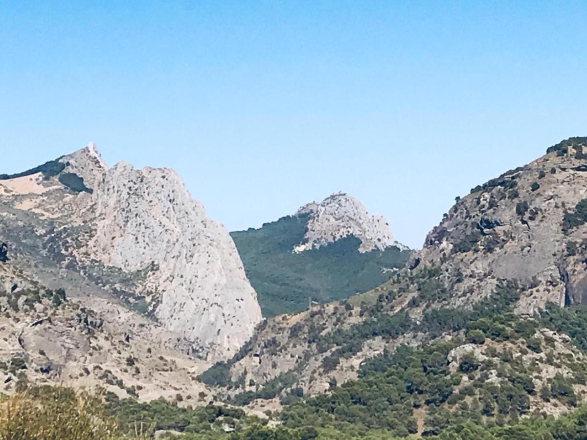 Apartamento Bajo A Avenida De Las Yedras * Benalmádena