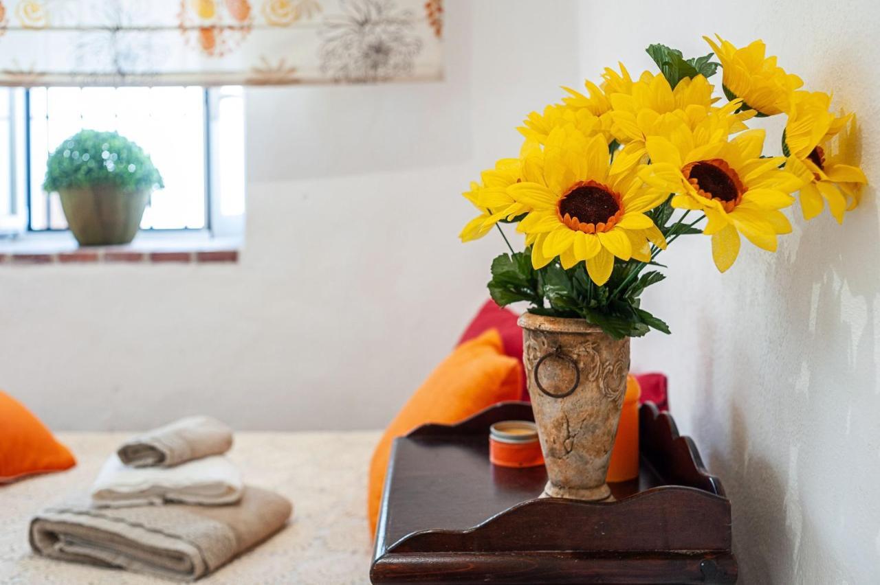 Girasoles Apartment