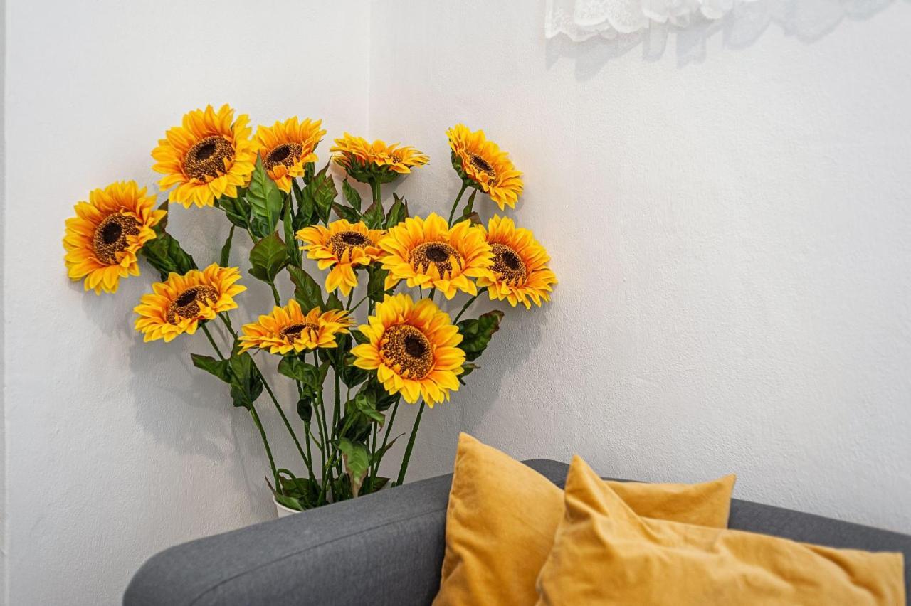 Girasoles Vejer de la Frontera