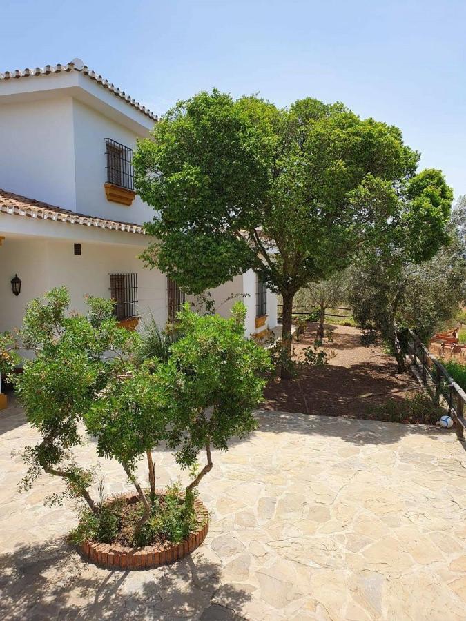 Villa Cortijo El Arrejadero