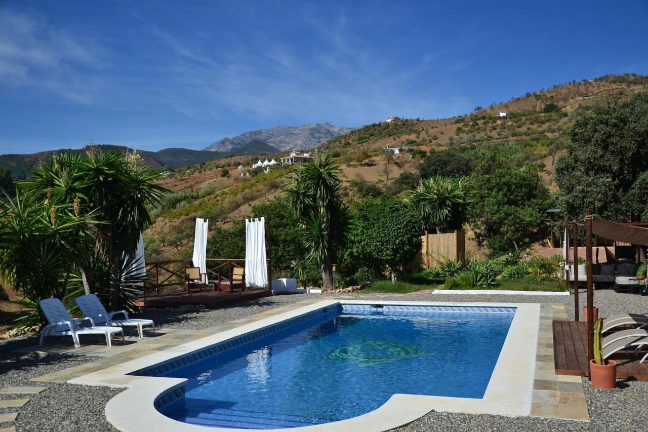 The African House Villa