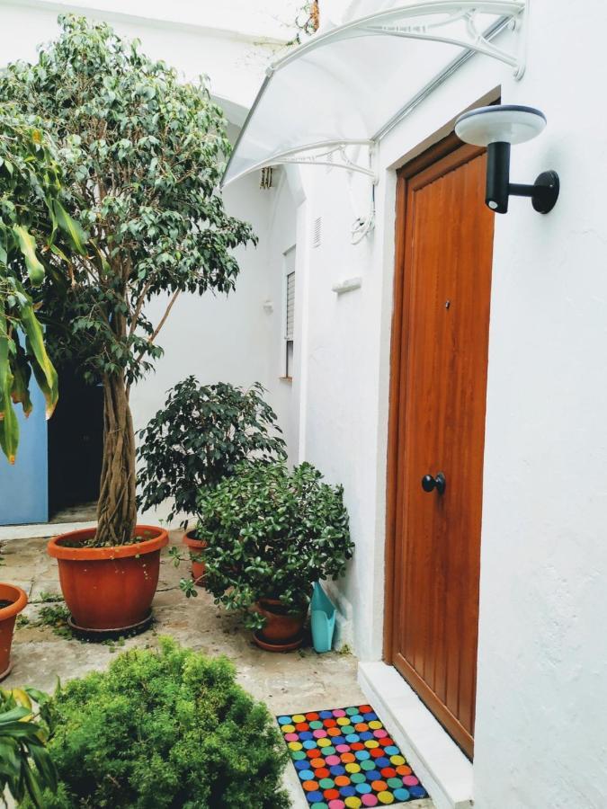 Carola Apartamento