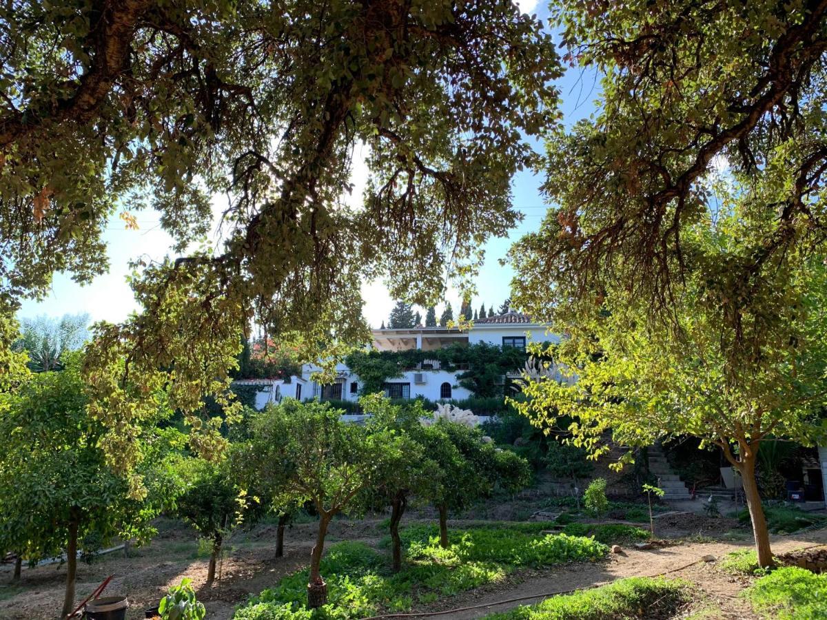 A Natural Retreat Guest house Mijas