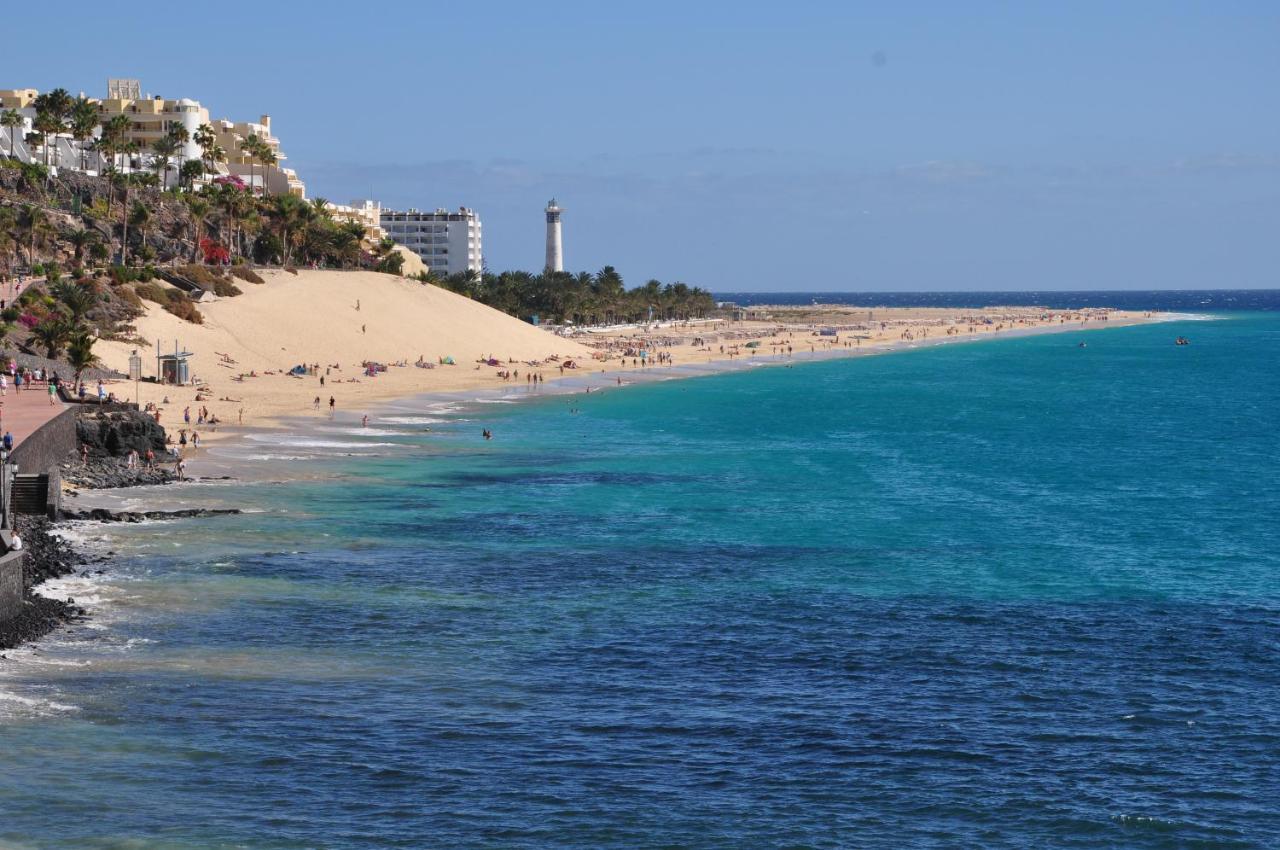 Guacamayo Morro Jable (Fuerteventura)