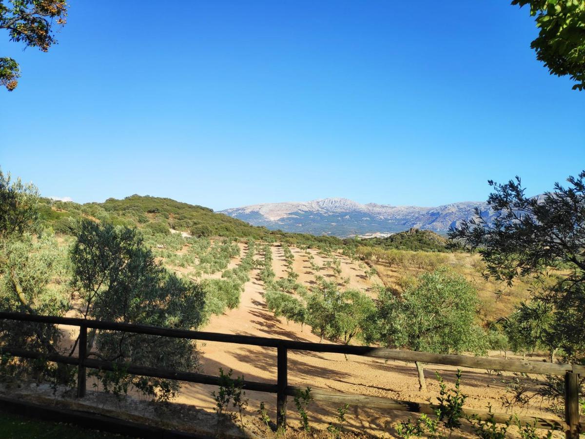 Cortijo El Arrejadero *