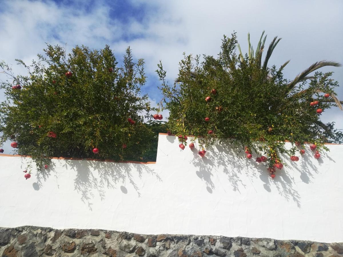 Casitas Rosheli * Los Llanos De Aridane