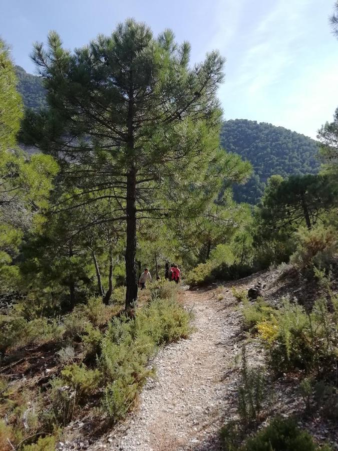 The Lost Village El Acebuchal Frigiliana
