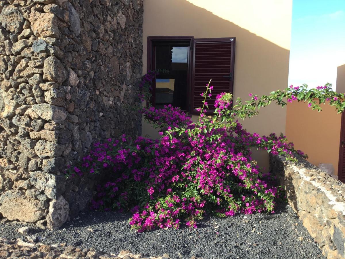 Casa Fard La Oliva