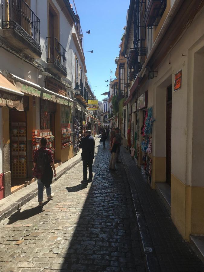 La Condesa De Vallellano Apartamento *