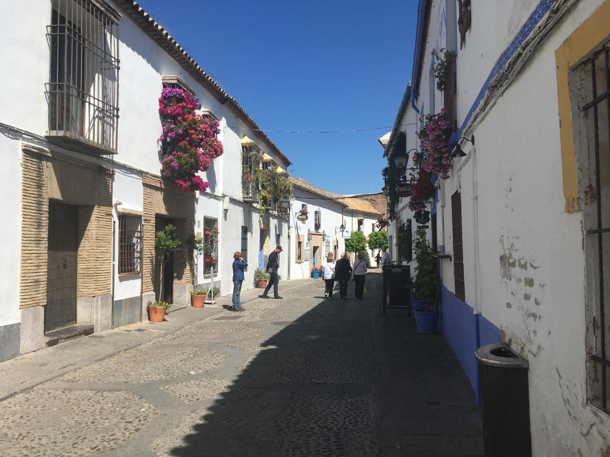Apartamento La Condesa De Vallellano Córdoba
