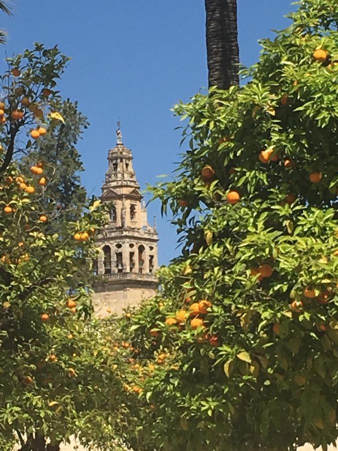 La Condesa De Vallellano Córdoba