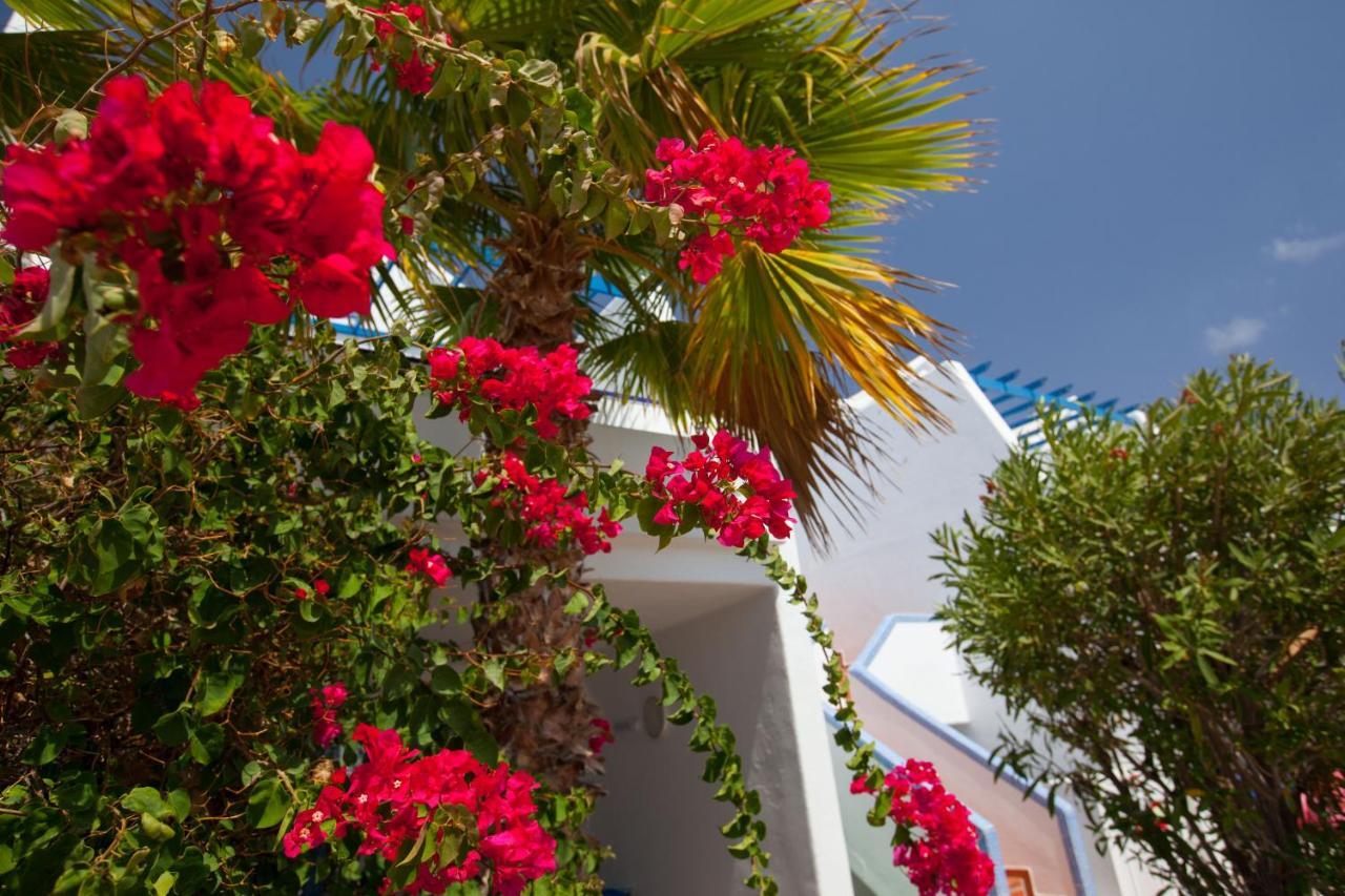 Grupotel Cinco Plazas Apartment Puerto del Carmen (Lanzarote)