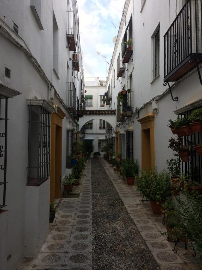 Lujosa Vivienda En Plena Judería Apartamento Córdoba
