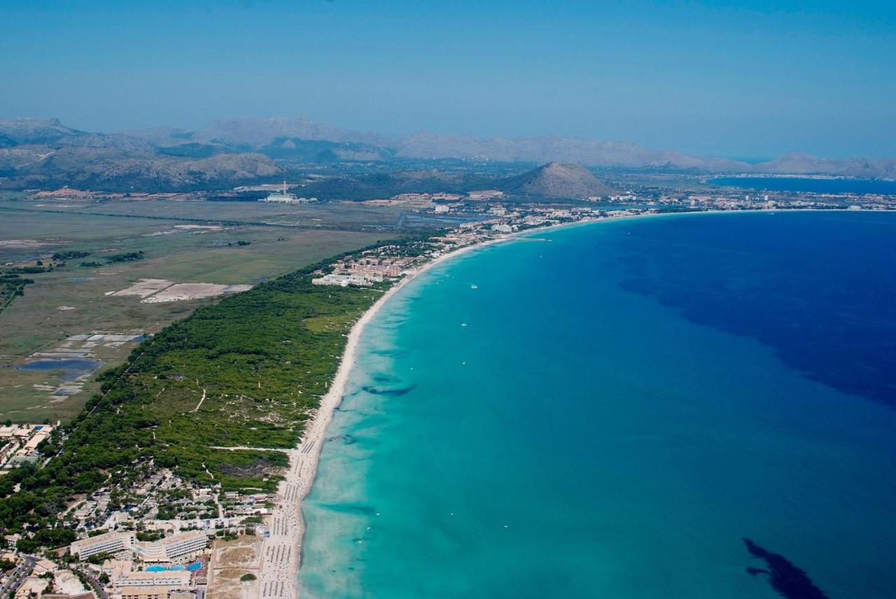 Lauba Port de Alcudia (Mallorca)