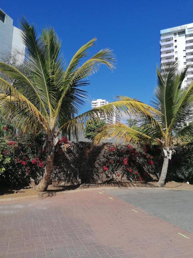 Cosy On Rooftop Apartment Playa Paraiso (Tenerife)