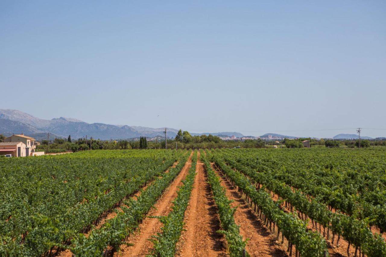 Villa Es Blanquer De Na Fani *