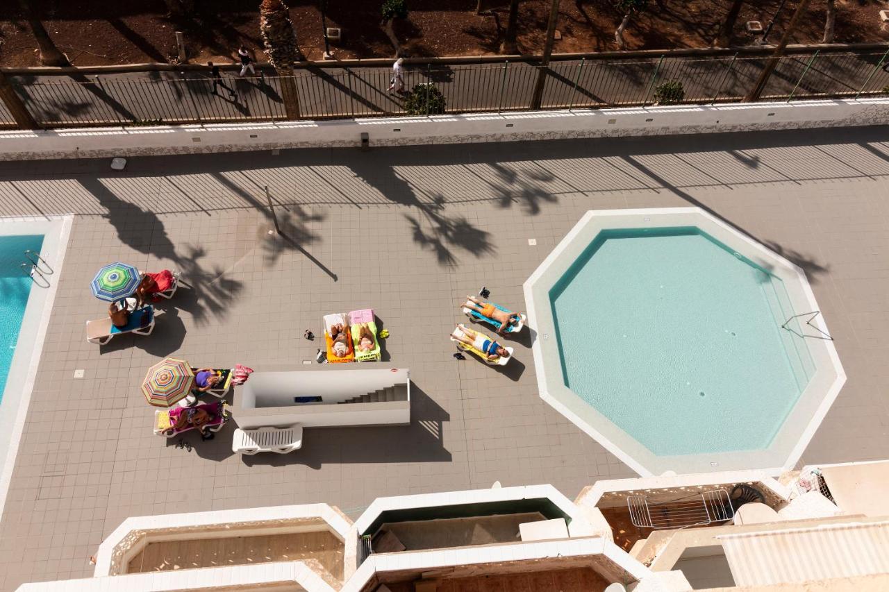 Homeforguest Modern And Recently Renovated In Arona Arona (Tenerife)