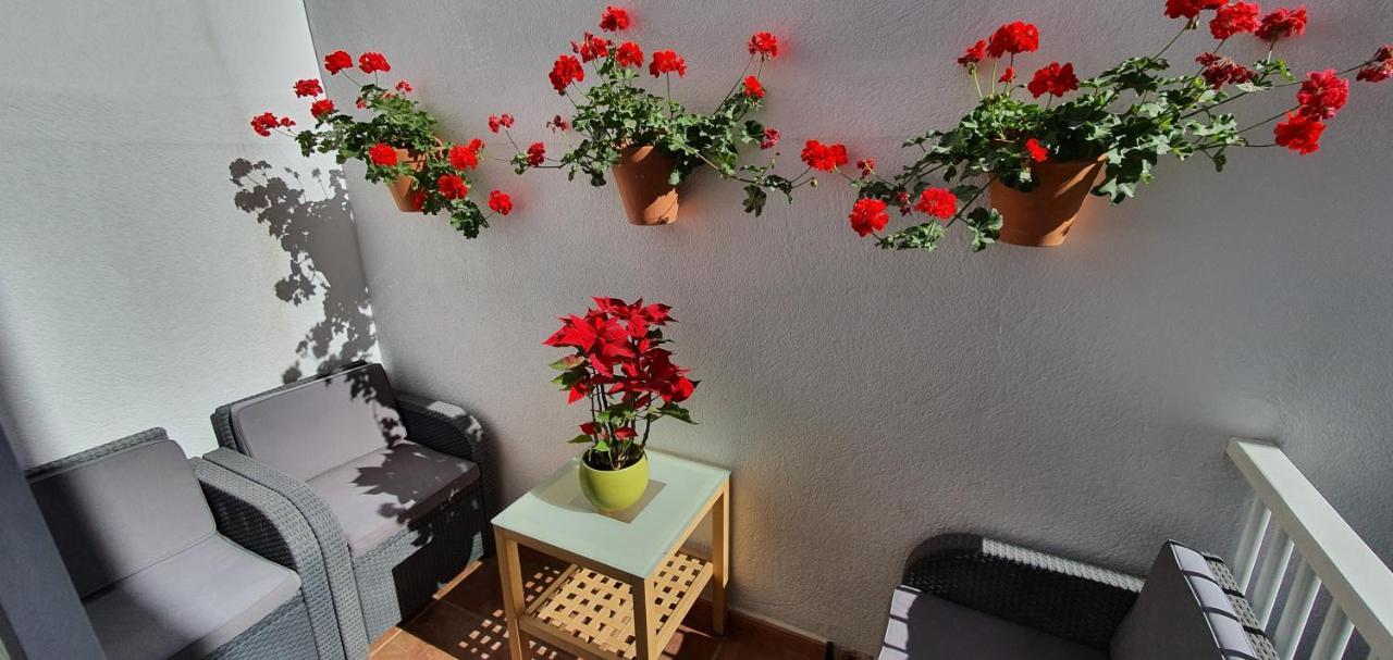 Hostal Adventure House Tenerife
