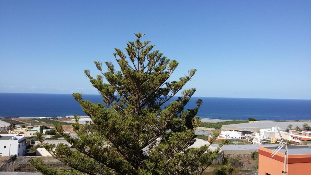 Las Gaviotas * Punta Del Hidalgo