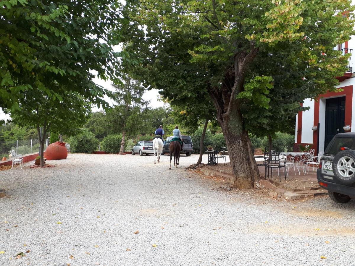Guest house La Carnicera 3*