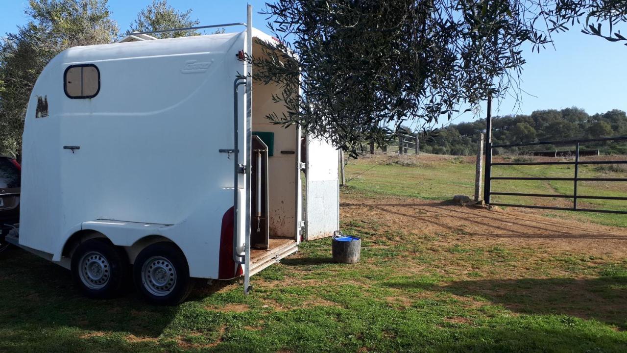 Guest house La Carnicera