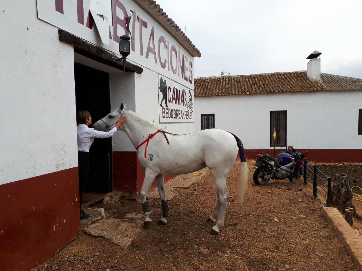 La Carnicera Guest house