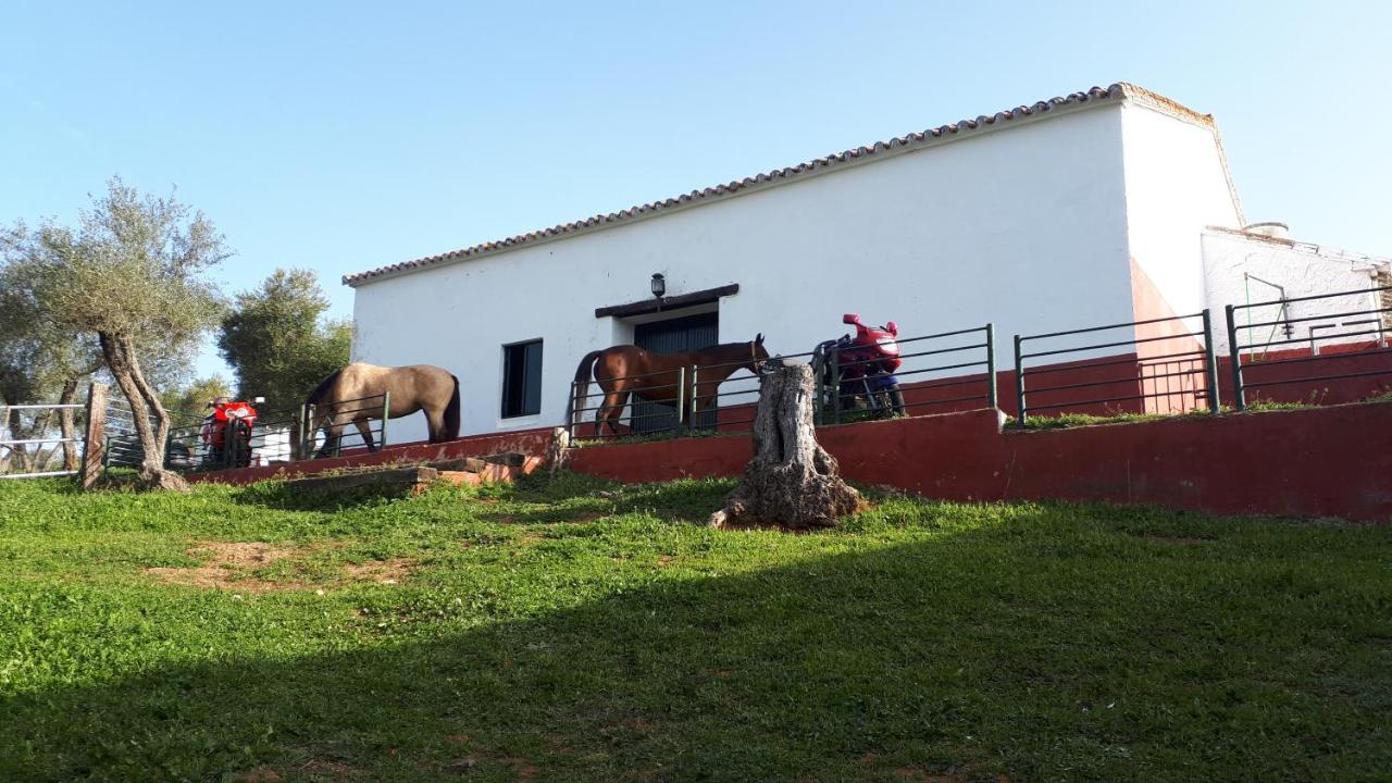 La Carnicera
