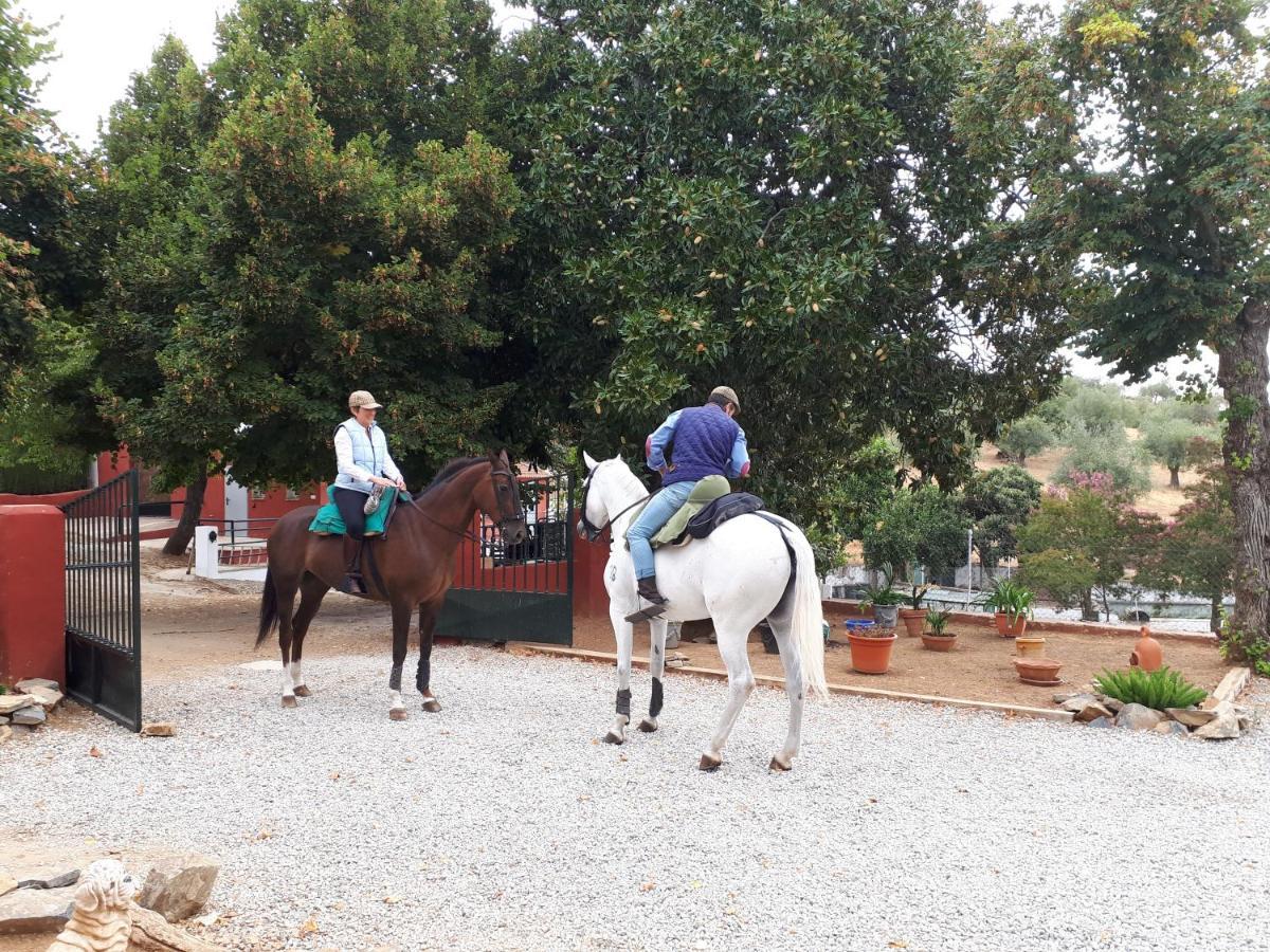 La Carnicera 3*