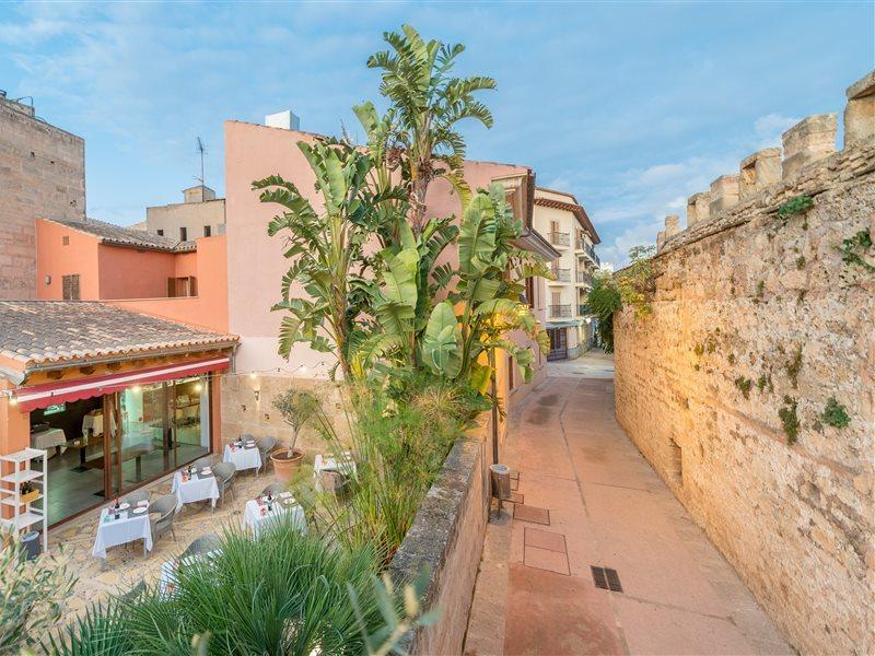 Petit - Turismo De Interior Alcudia (Mallorca)